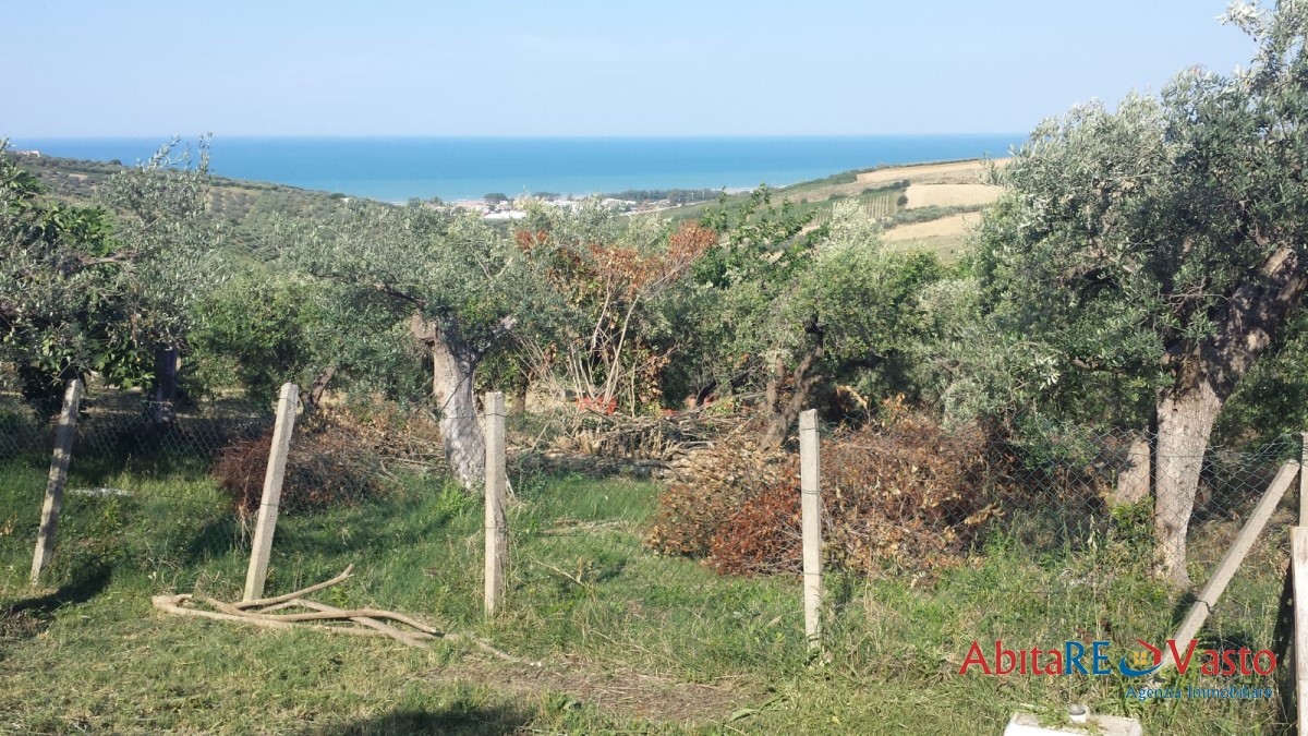 Appartamento Vasto CH1361811